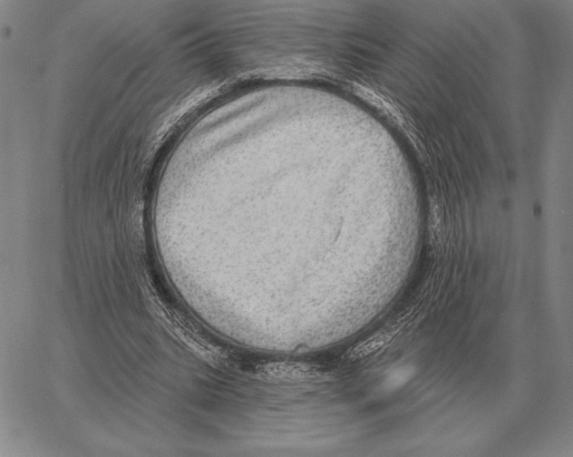 X0000066950535200604211818