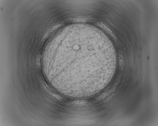 X0000066950537200604211818