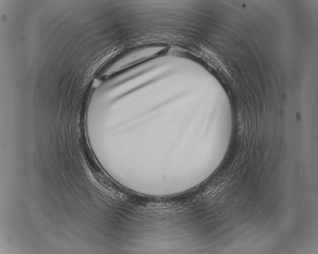 X0000066950538200604211818