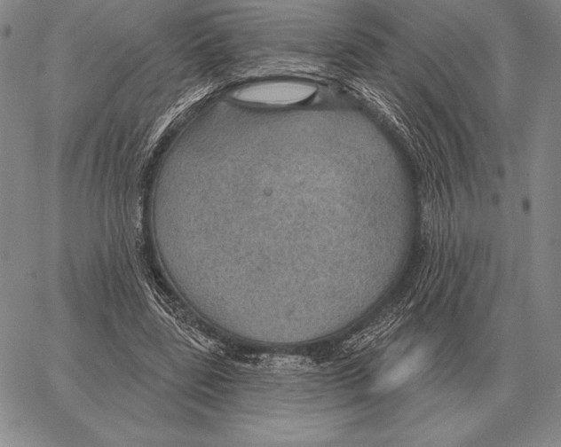 X0000066950539200604211818