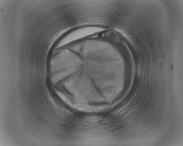 X0000066950540200604211818