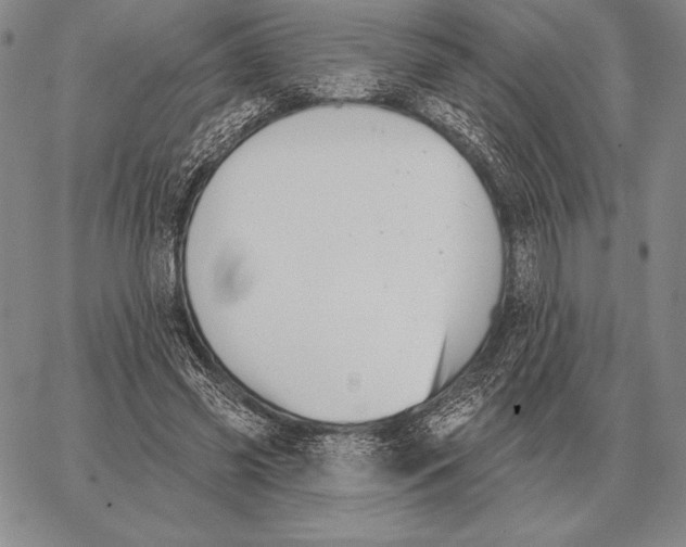 X0000066950541200604211818