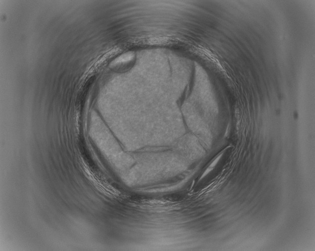 X0000066950542200604211818