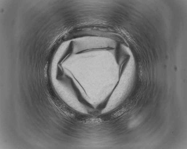 X0000066950543200604211818