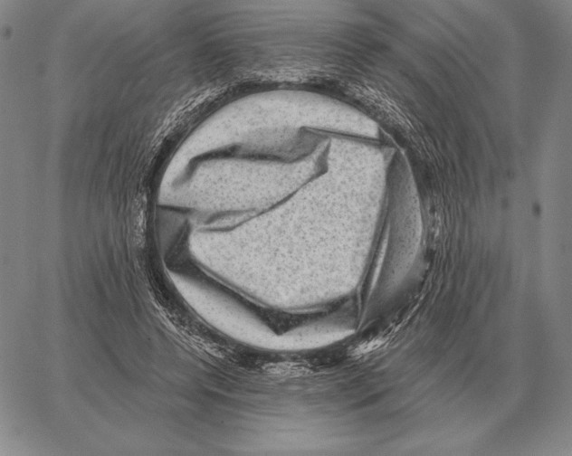 X0000066950544200604211818