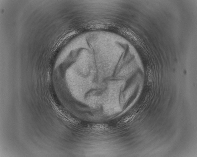 X0000066950546200604211818