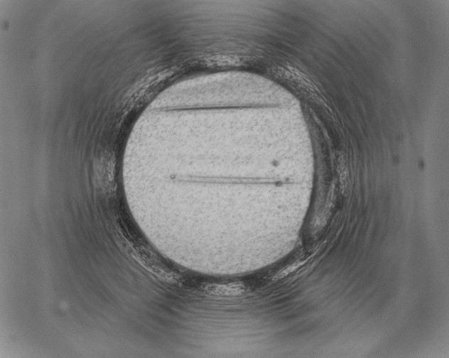 X0000066950548200604211818