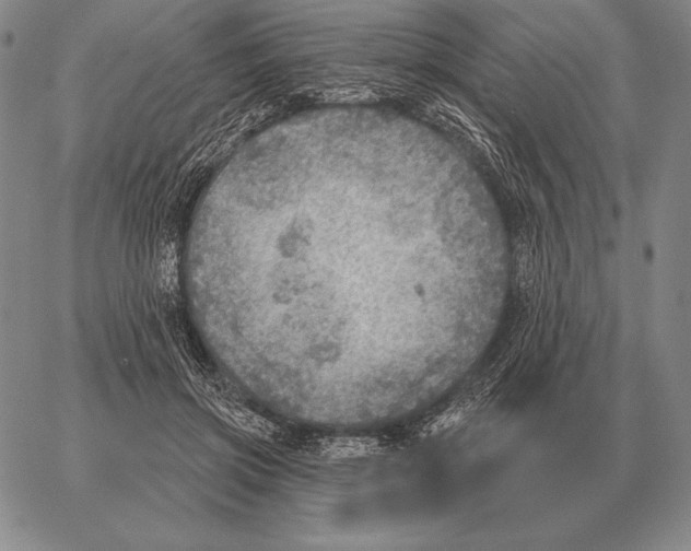 X0000066950549200604211818