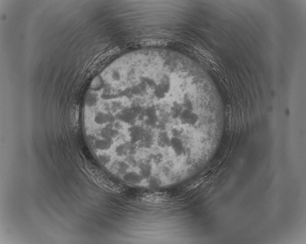 X0000066950550200604211818