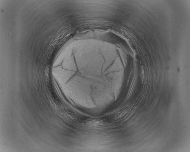 X0000066950551200604211818