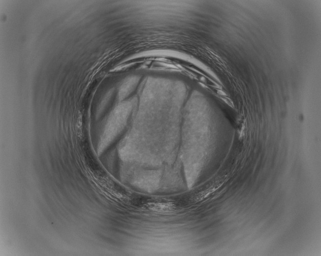 X0000066950552200604211818