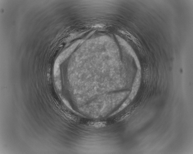 X0000066950553200604211818