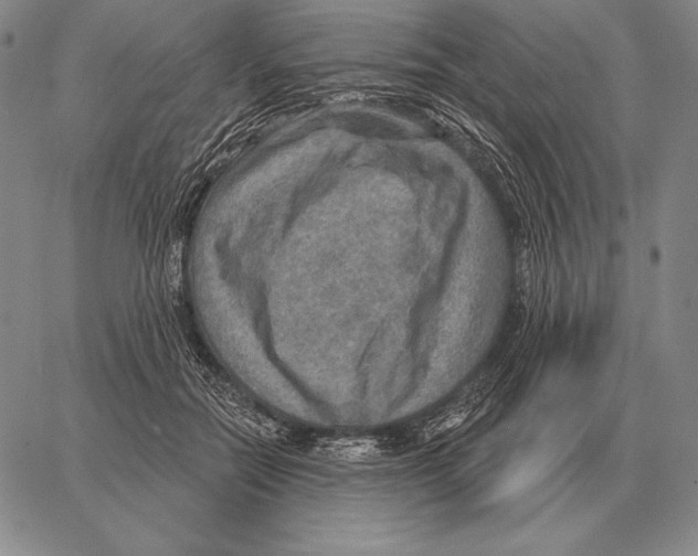 X0000066950554200604211818