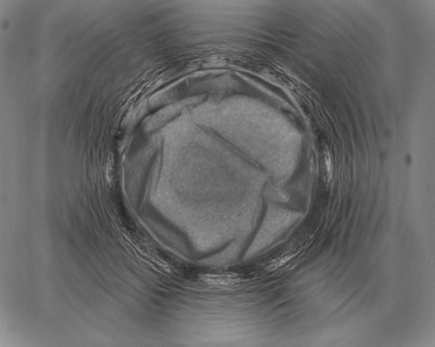 X0000066950556200604211818