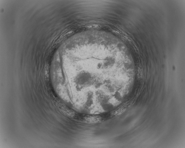 X0000066950561200604211818