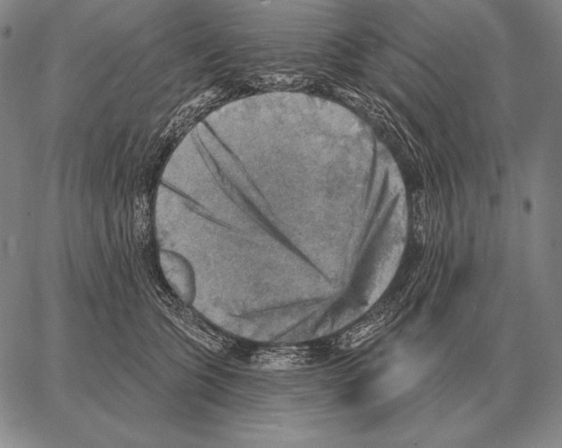 X0000066950563200604211818