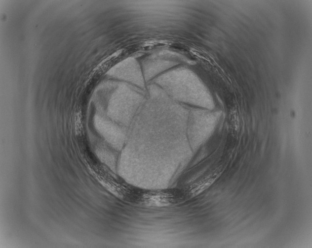 X0000066950564200604211818