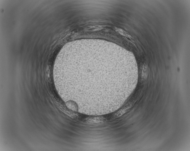 X0000066950567200604211818