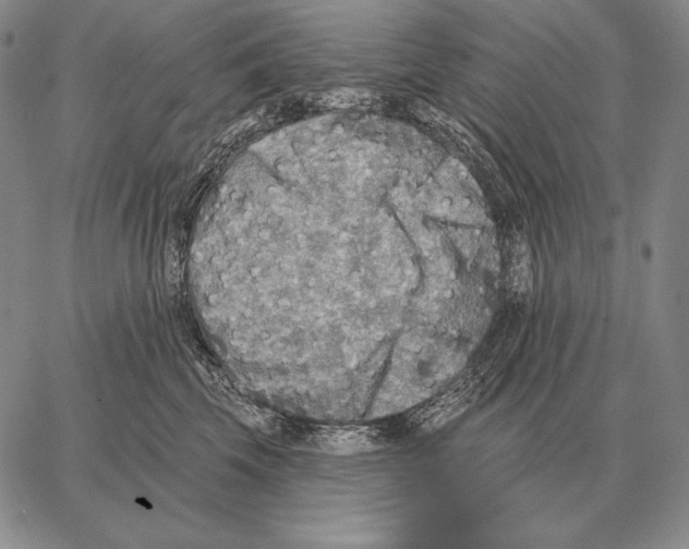 X0000066950569200604211818