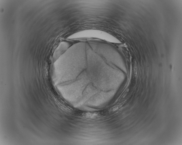 X0000066950570200604211818