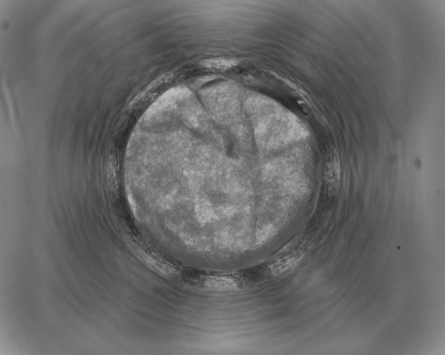 X0000066950572200604211818