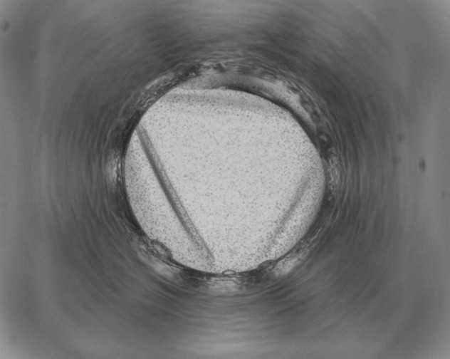 X0000066950574200604211818