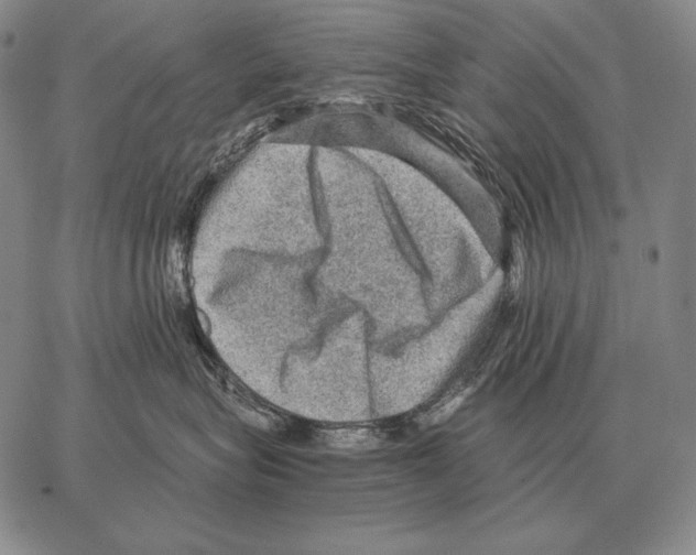 X0000066950575200604211818