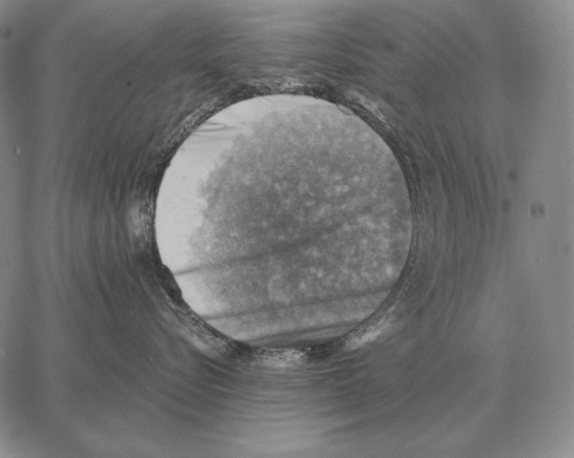 X0000066950576200604211818