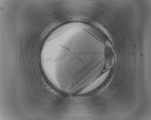 X0000066950577200604211817