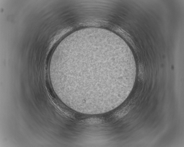 X0000066950578200604211817