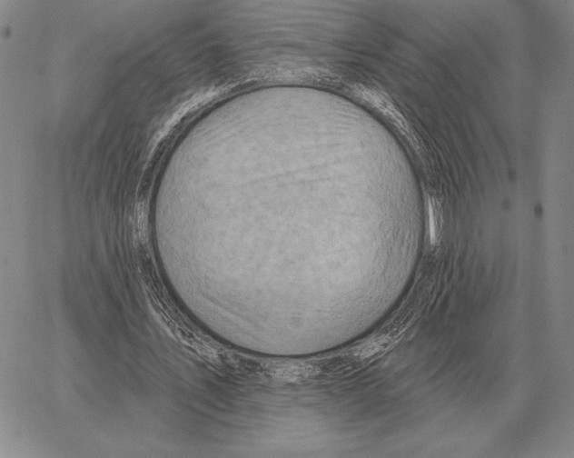 X0000066950579200604211817