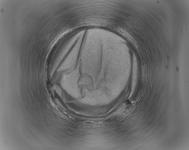 X0000066950580200604211817