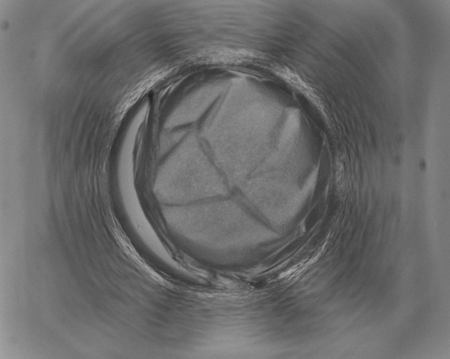 X0000066950581200604211817