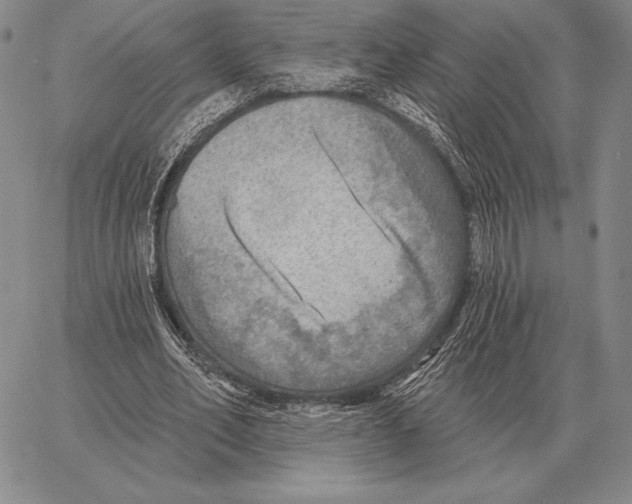 X0000066950582200604211817