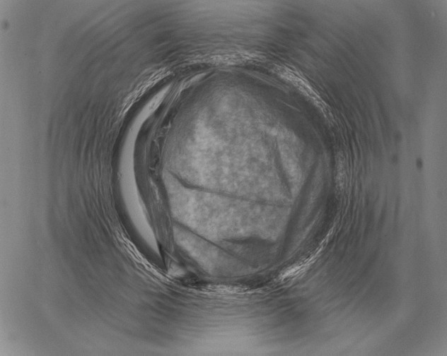 X0000066950585200604211817