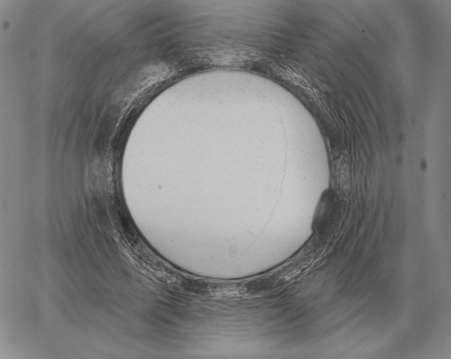 X0000066950587200604211817