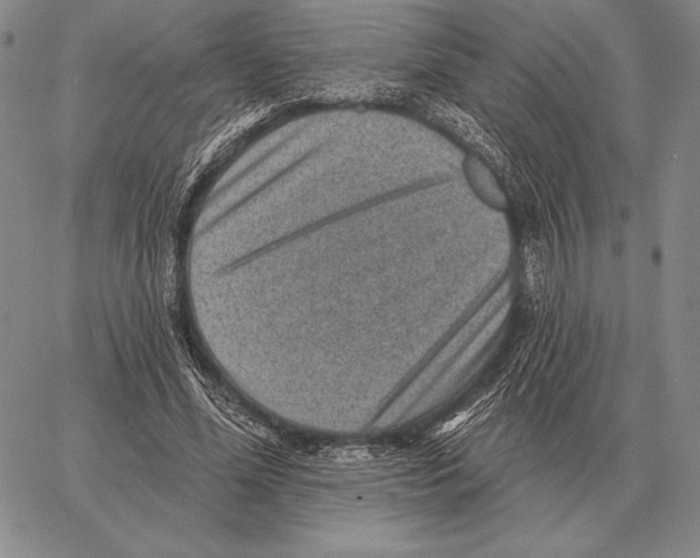 X0000066950588200604211817