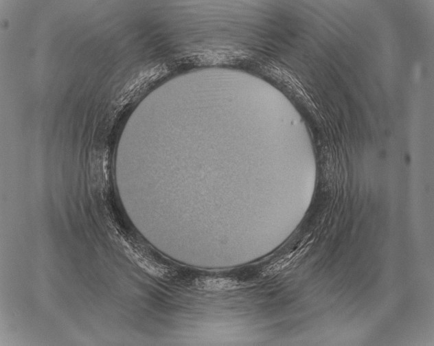 X0000066950590200604211817