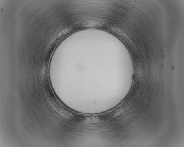 X0000066950591200604211817