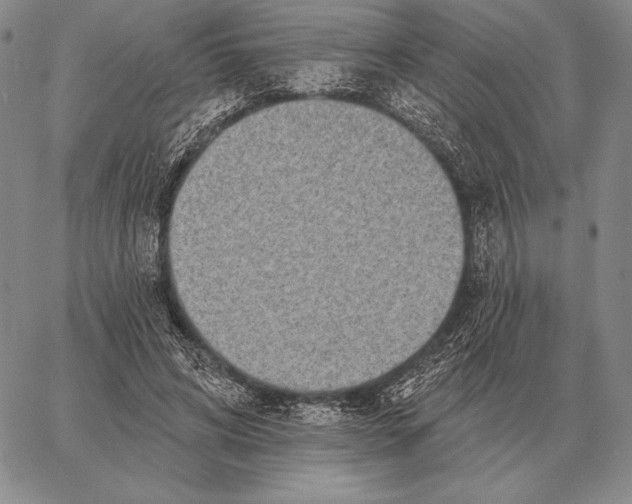 X0000066950592200604211817