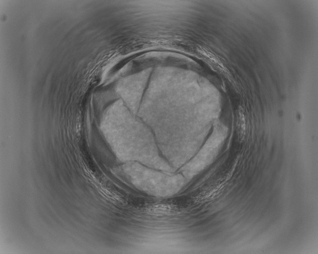 X0000066950593200604211817