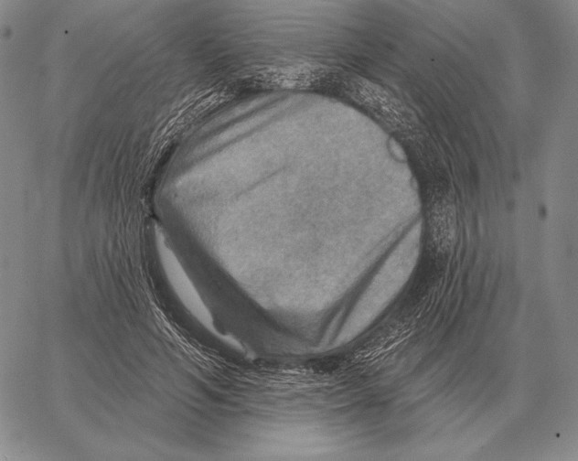 X0000066950594200604211817