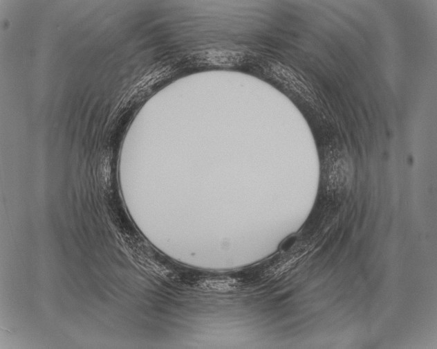 X0000066950595200604211817