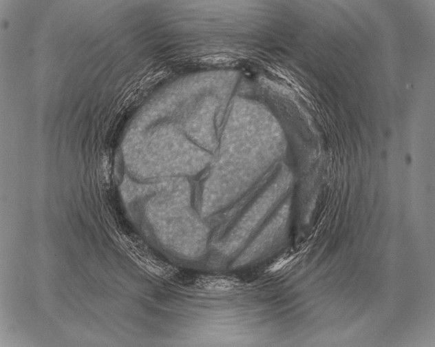 X0000066950597200604211817