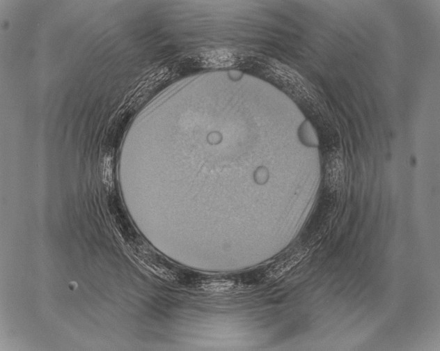 X0000066950598200604211817