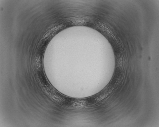 X0000066950599200604211817