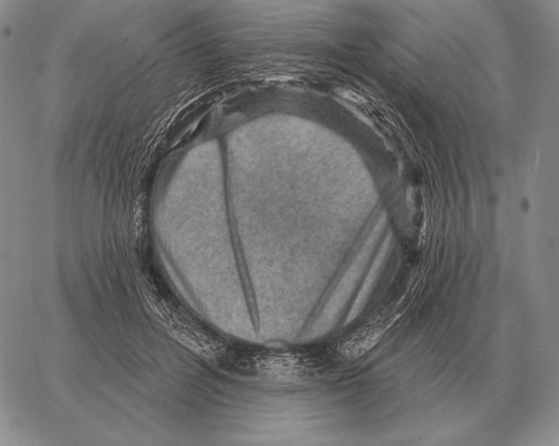 X0000066950600200604211817