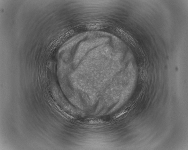 X0000066950601200604211817