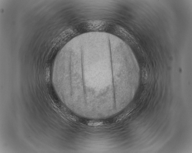 X0000066950602200604211817