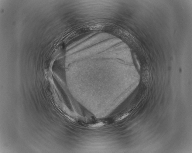 X0000066950604200604211817